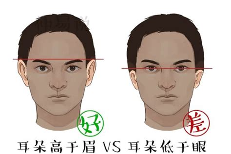 耳朵與眼睛平行|耳朵跟眼睛一样平的命运怎么样